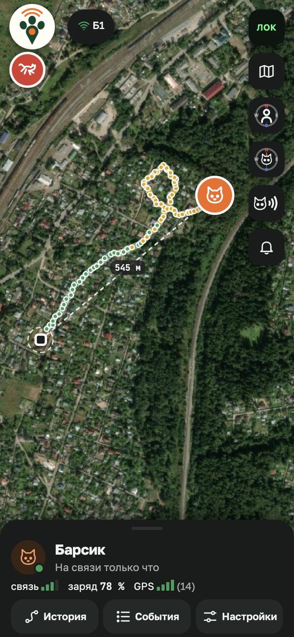 Карта: дом, след прогулки и кот в 545 м